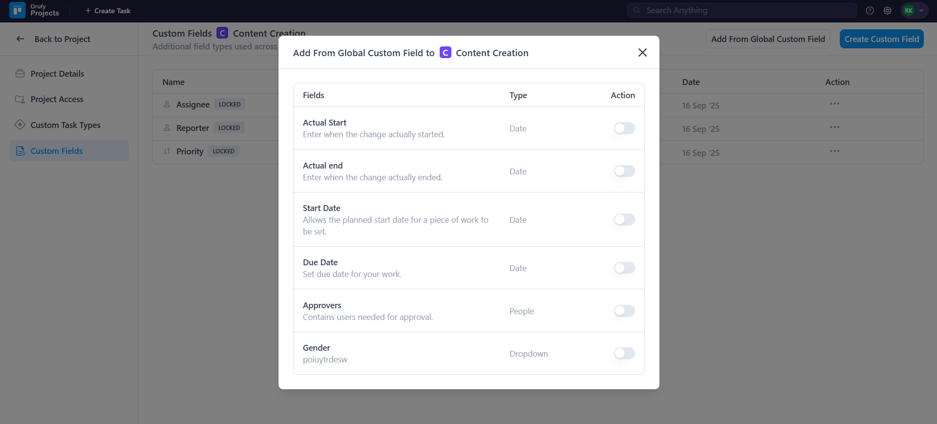 global custom field in project.png