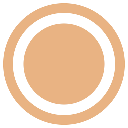 Secondary Button (optional updates only)