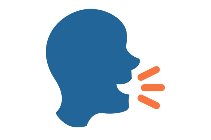 Speech Recognition Usage Description