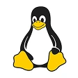 Website into Linux App