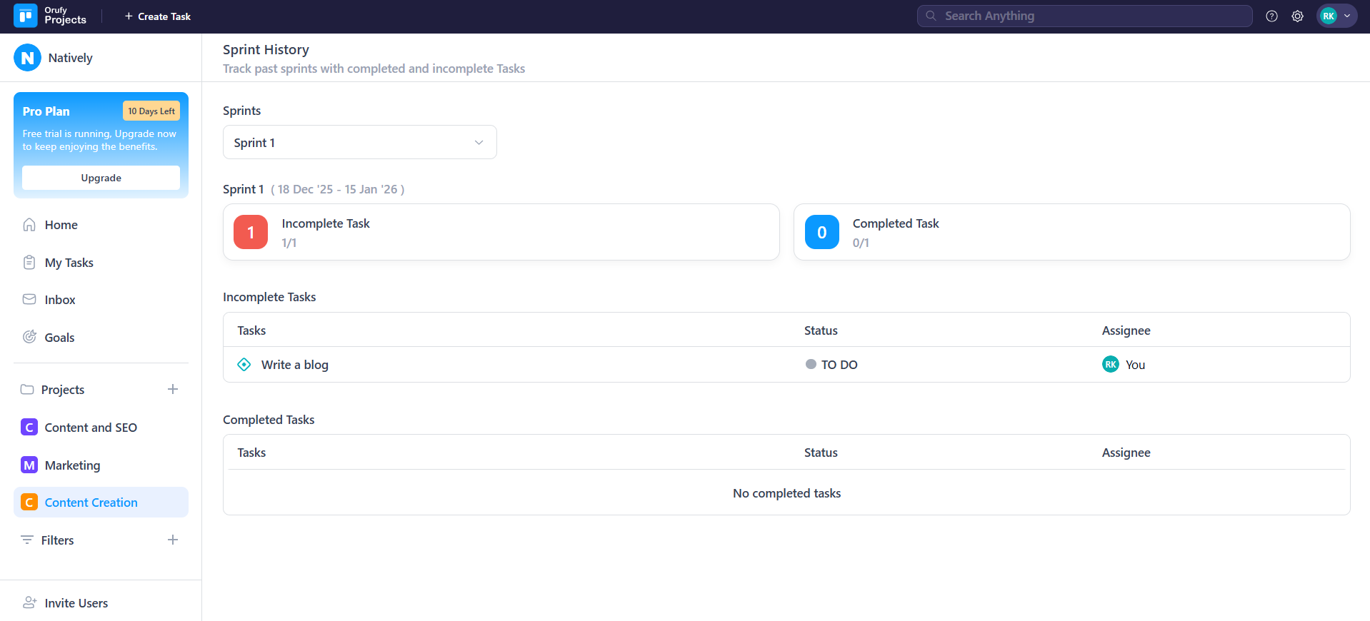 window of history.png
